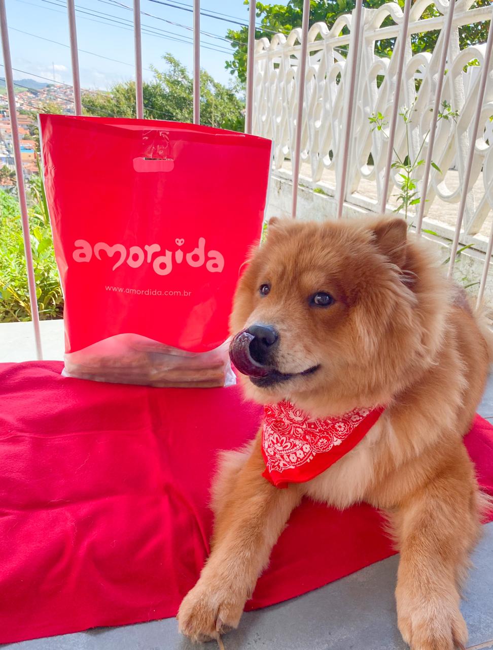 imagem de cachorro com saquinho da amordida ao lado