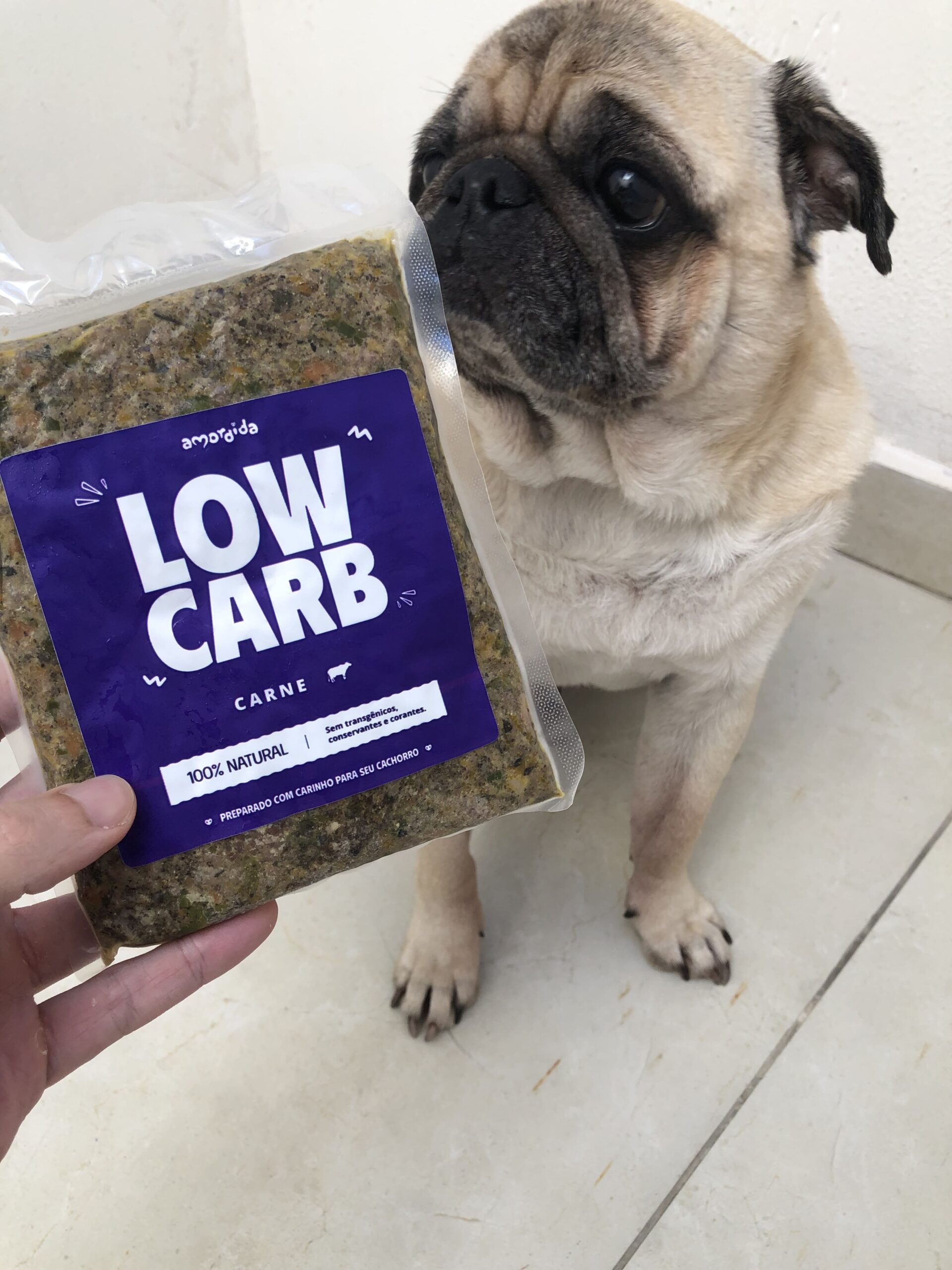 imagem de cachorro ao lado de alimentação natural personalizada